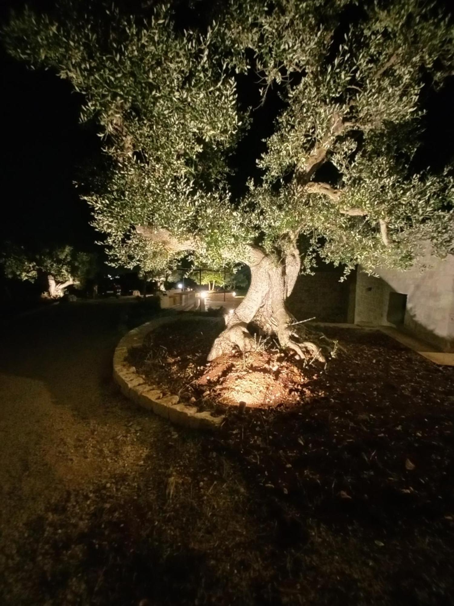 Il Nido Delle Rondini Villa Cisternino Buitenkant foto