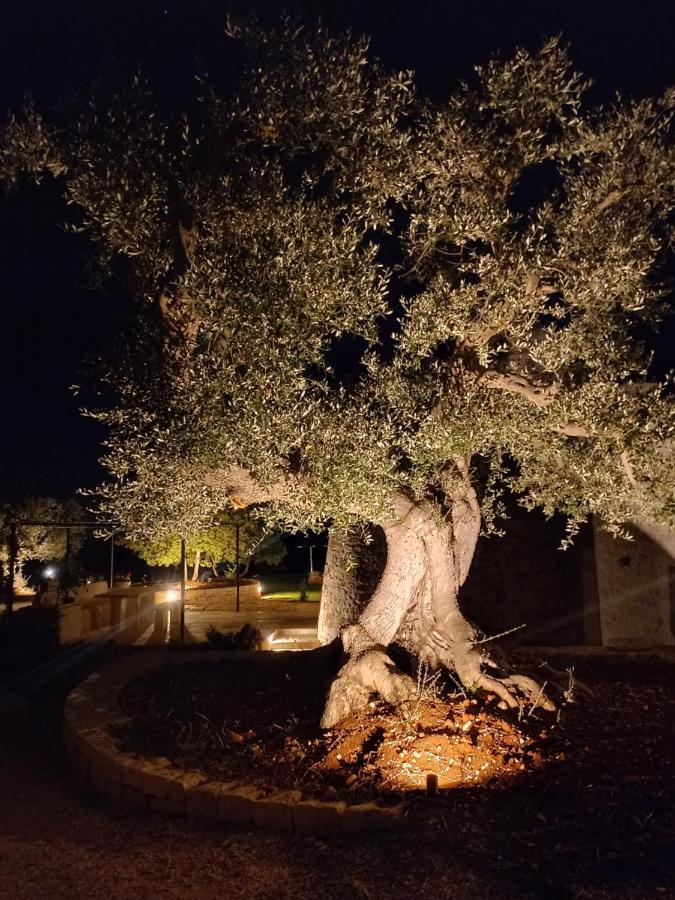 Il Nido Delle Rondini Villa Cisternino Buitenkant foto