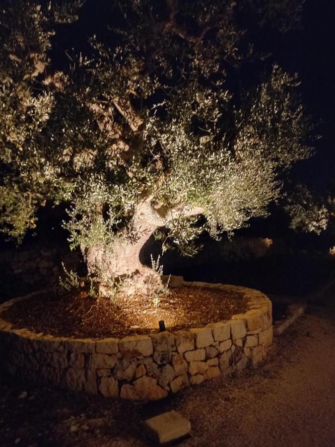 Il Nido Delle Rondini Villa Cisternino Buitenkant foto